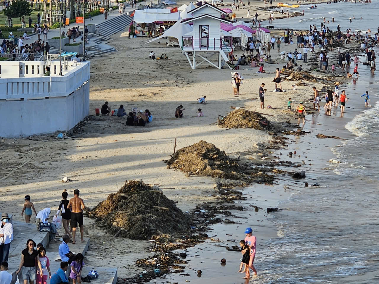 Rác đại dương tấn công Bãi Sau Vũng Tàu Sau công viên nghìn tỉ đồng - Ảnh 4.