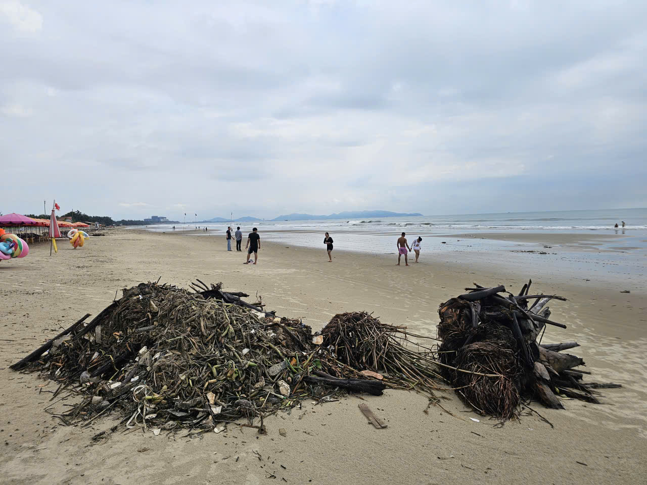 Rác đại dương tấn công Bãi Sau Vũng Tàu Sau công viên nghìn tỉ đồng - Ảnh 12.