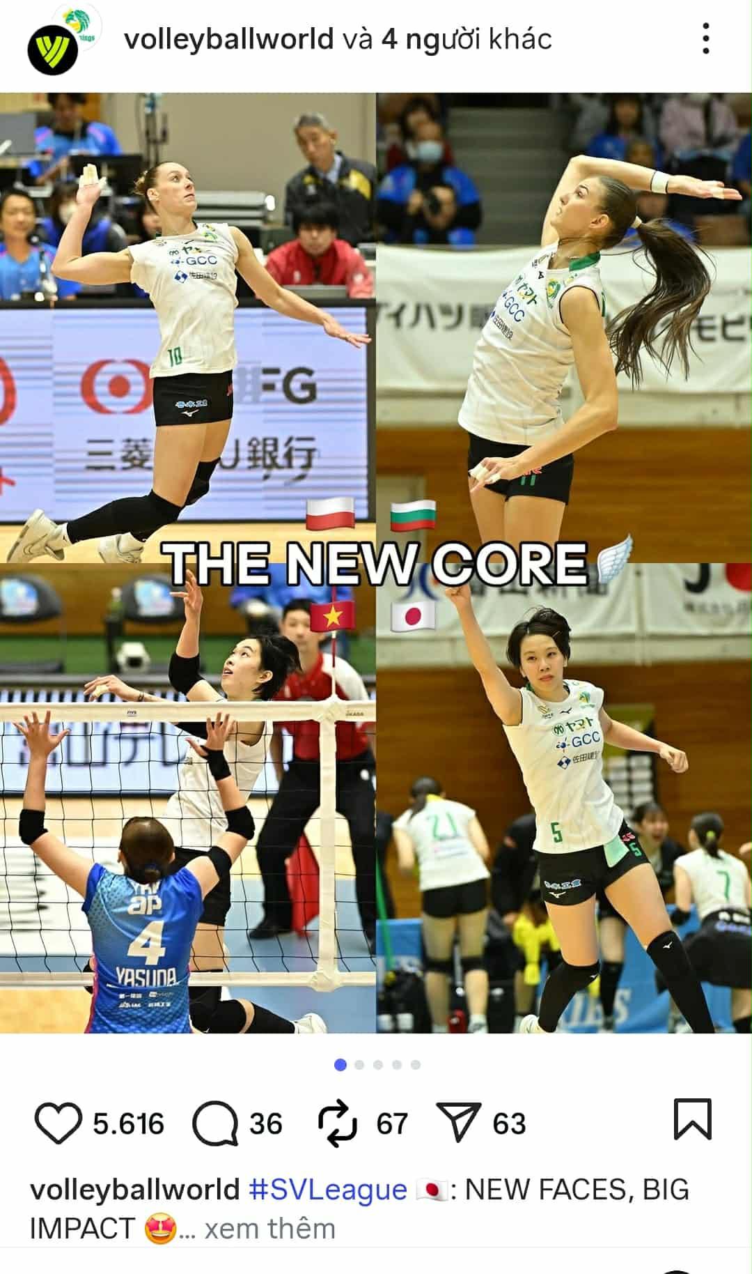 Thanh Thúy nhận quà sinh nhật đặc biệt từ làng bóng chuyền đỉnh cao  - Ảnh 3.