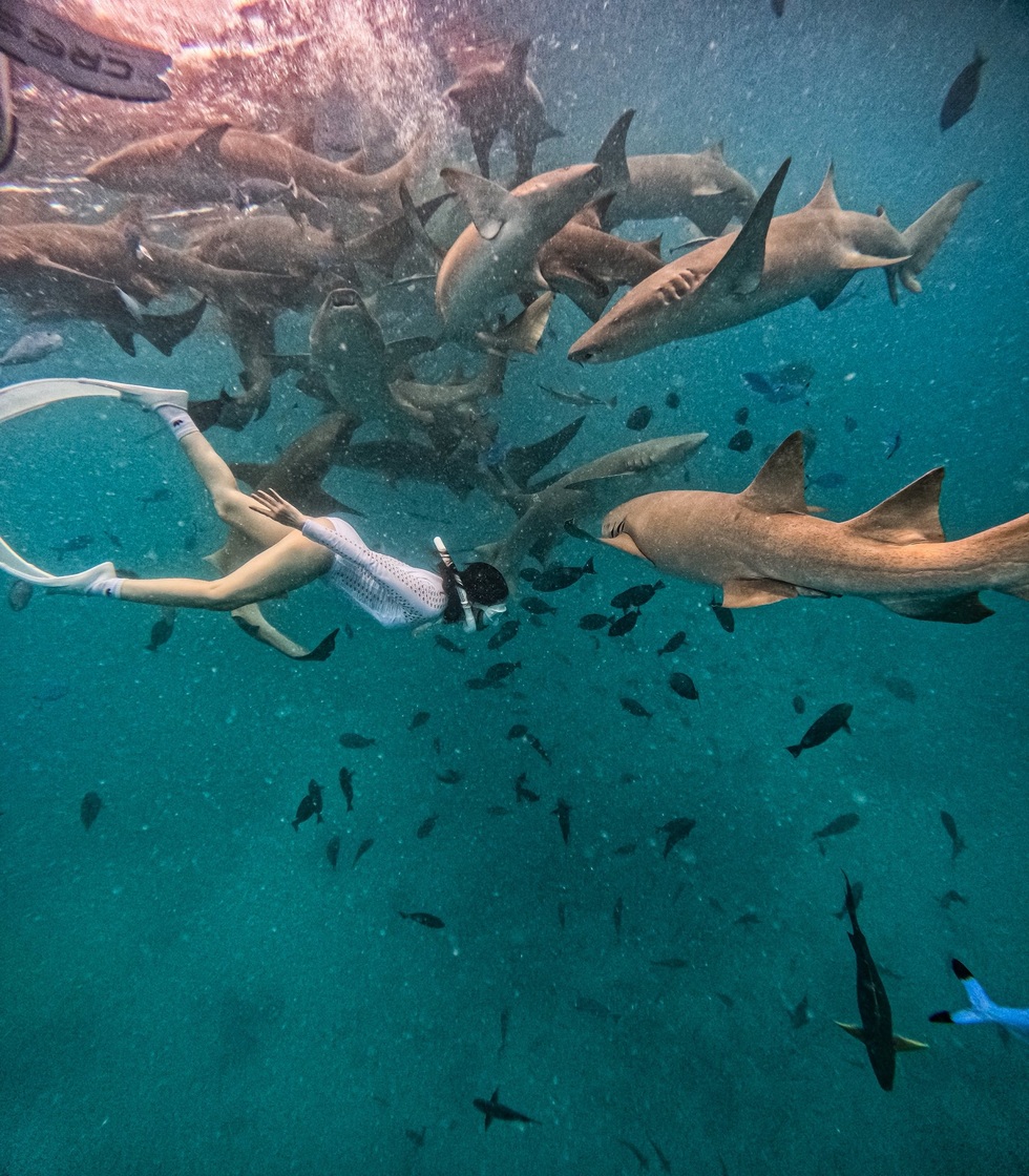 Người phụ nữ Việt đi 80 nước và sự cố mắc kẹt ở biên giới Tây Phi - 8