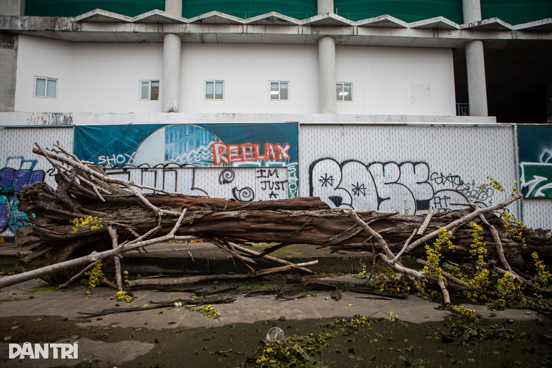 Hiện trạng hai siêu dự án dang dở trên đất vàng TPHCM sắp được hồi sinh - 5