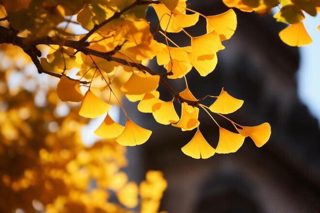 Quan hệ khăng khít đến mấy cũng phải nhớ “3 không” này, đó mới là khôn ngoan, tỉnh táo - 3