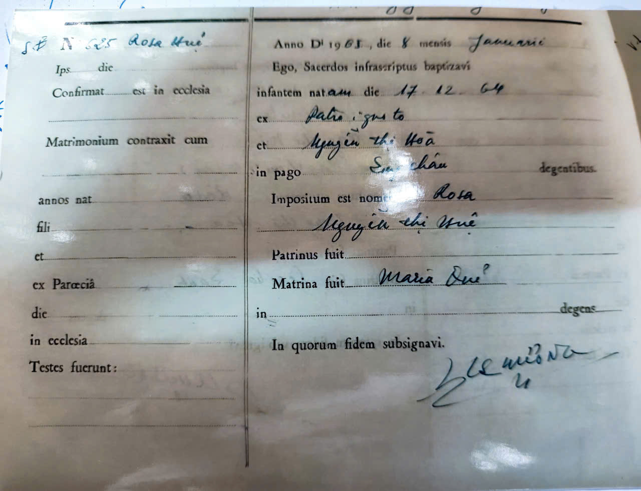 Hơn 60 năm sống ở trời Âu, người phụ nữ quay về cố hương tìm mẹ Việt- Ảnh 2.