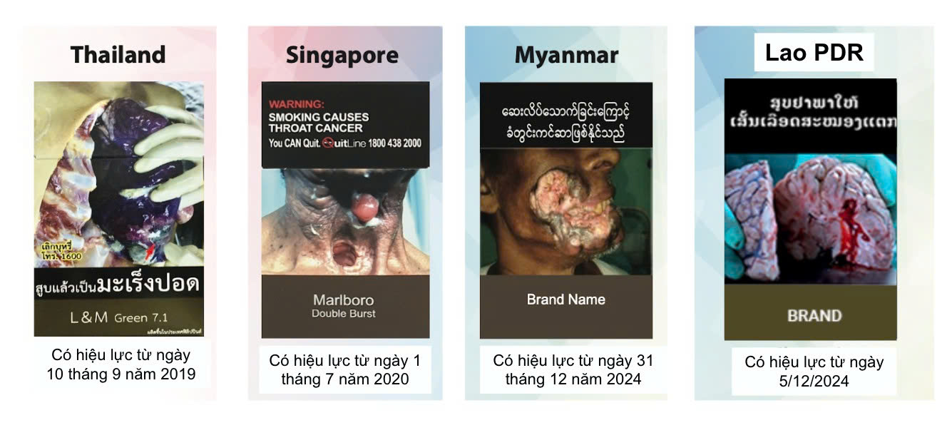 Khoảng 1,6 triệu người tử vong do hút thuốc lá thụ động mỗi năm- Ảnh 3.