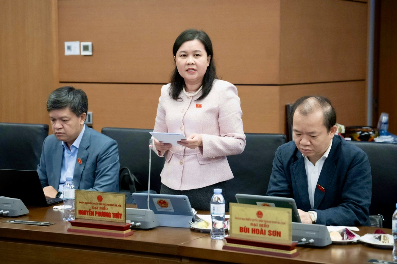 Mô hình thi hành án dân sự gặp bất cập , đại biểu Quốc hội đề xuất cải cách - Ảnh 2.