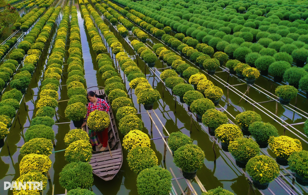 Chuyển tư duy “cho dân làm”, hướng đi mới giúp du lịch nông thôn bền vững - 2