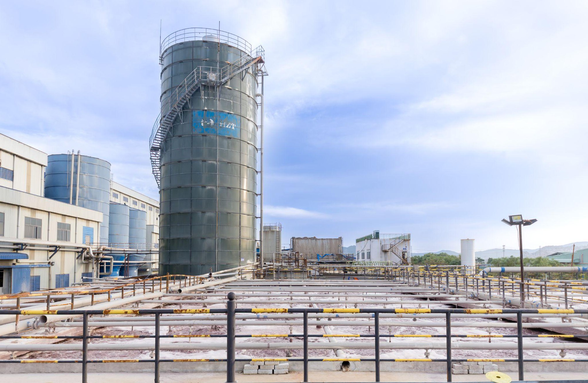 Tưởng đống giấy lộn, ai ngờ lại là 