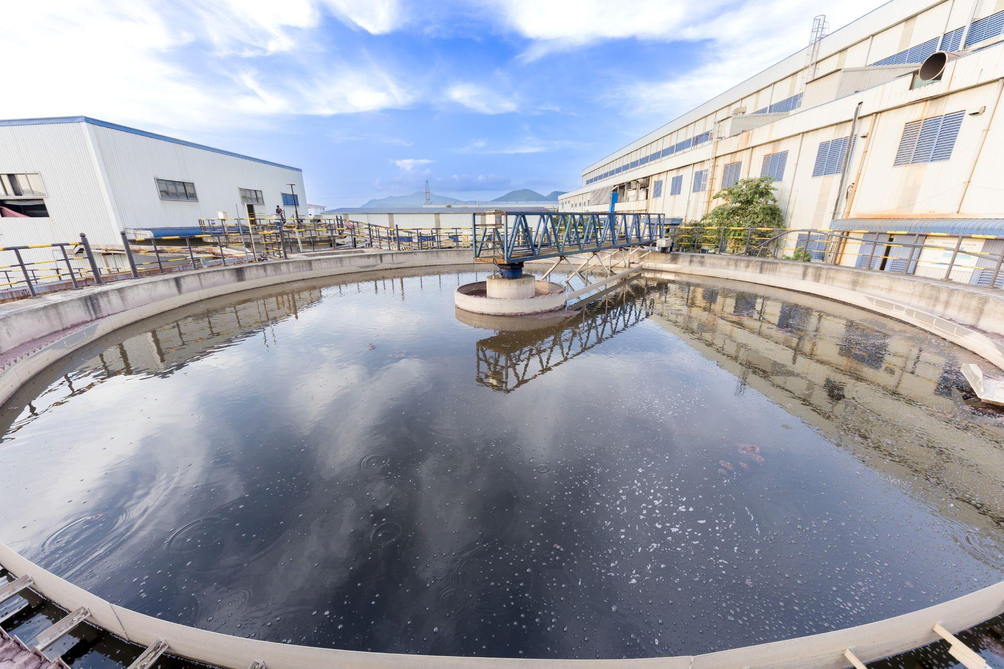 Tưởng đống giấy lộn, ai ngờ lại là 