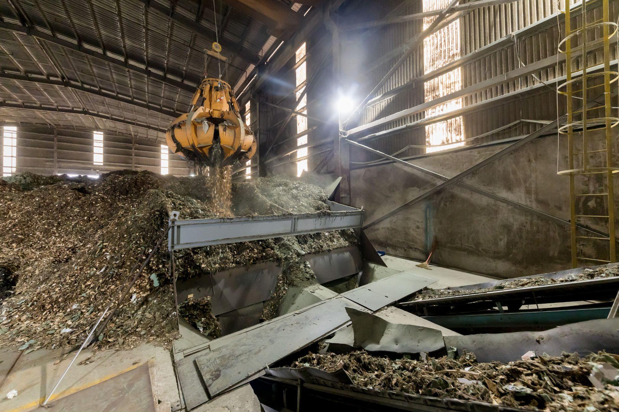 Tưởng đống giấy lộn, ai ngờ lại là 