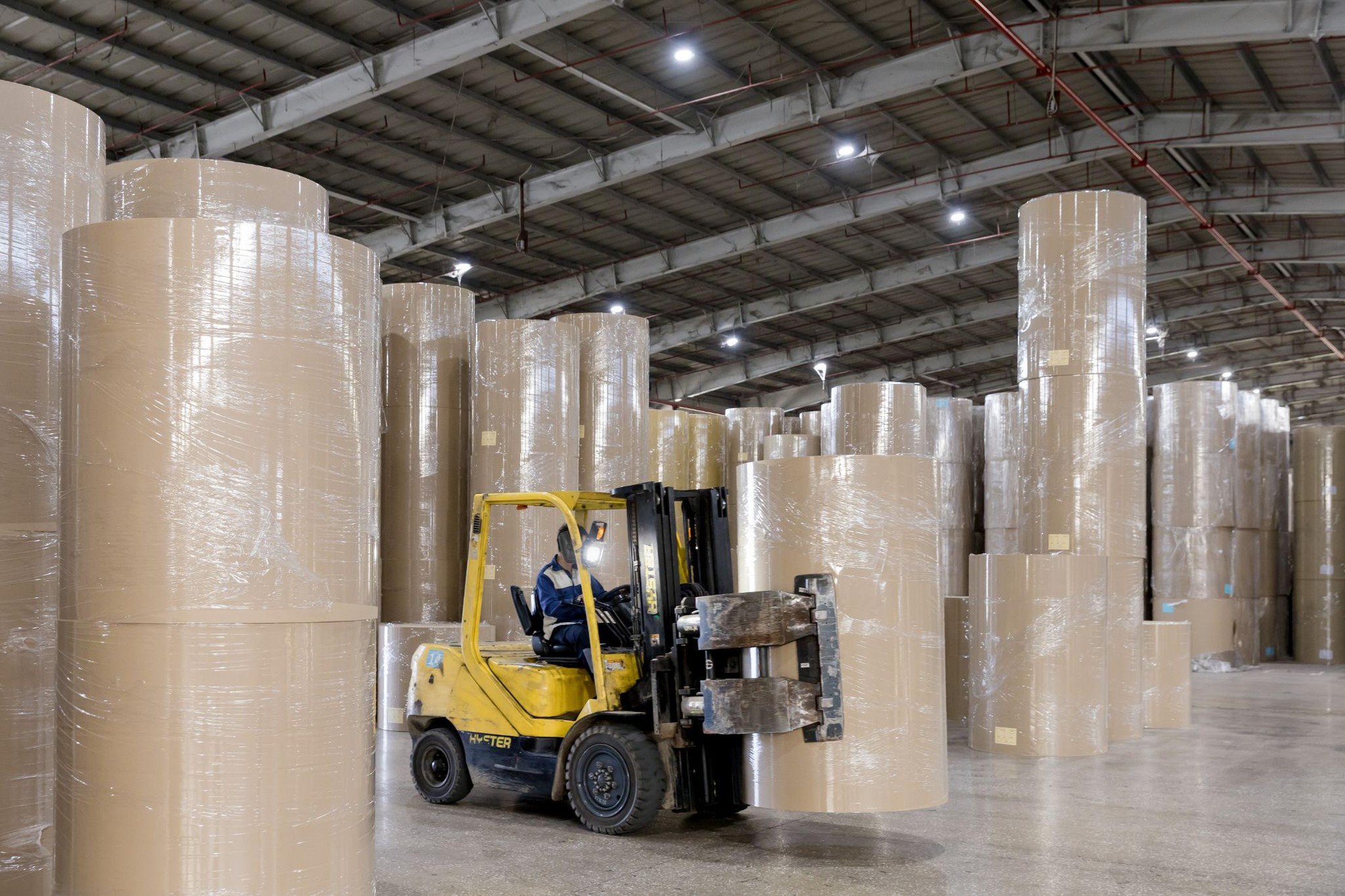 Tưởng đống giấy lộn, ai ngờ lại là 