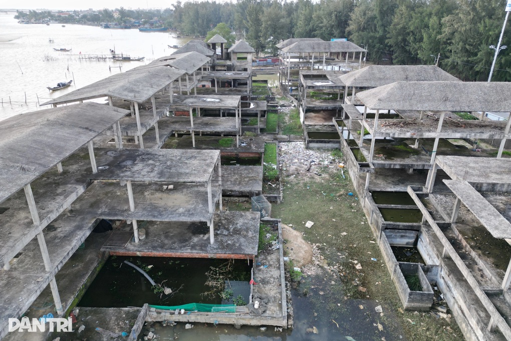 Khu đô thị nghỉ dưỡng 600 tỷ đồng chưa được giao đất, bị bỏ hoang nhiều năm - 3