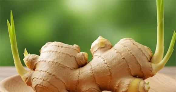 Đặt gừng trên bàn, Gừng phong thủy