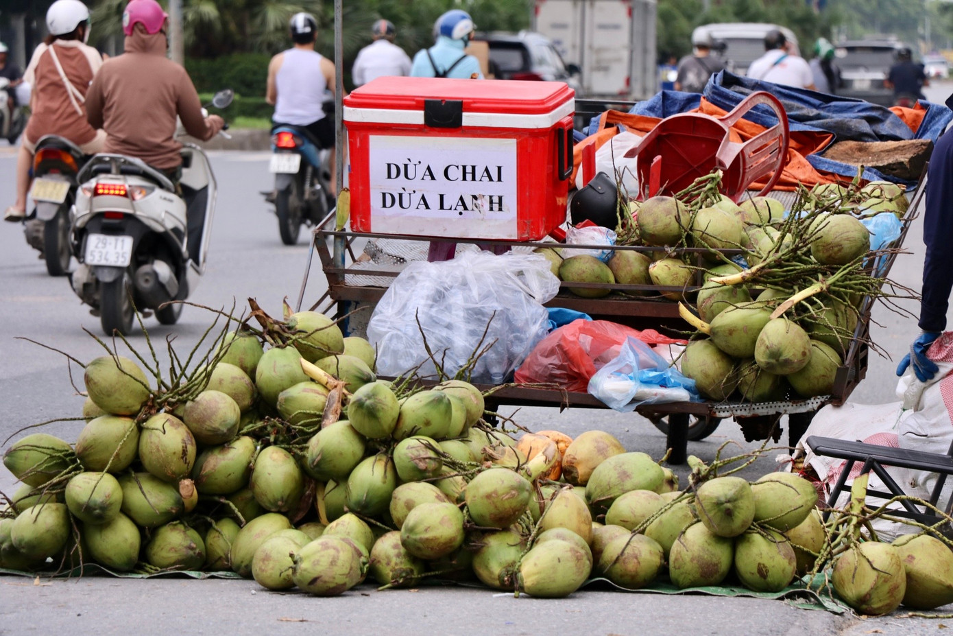 Dừa xiêm 7.000 đồng bán tràn ngập Hà Nội- Ảnh 2.