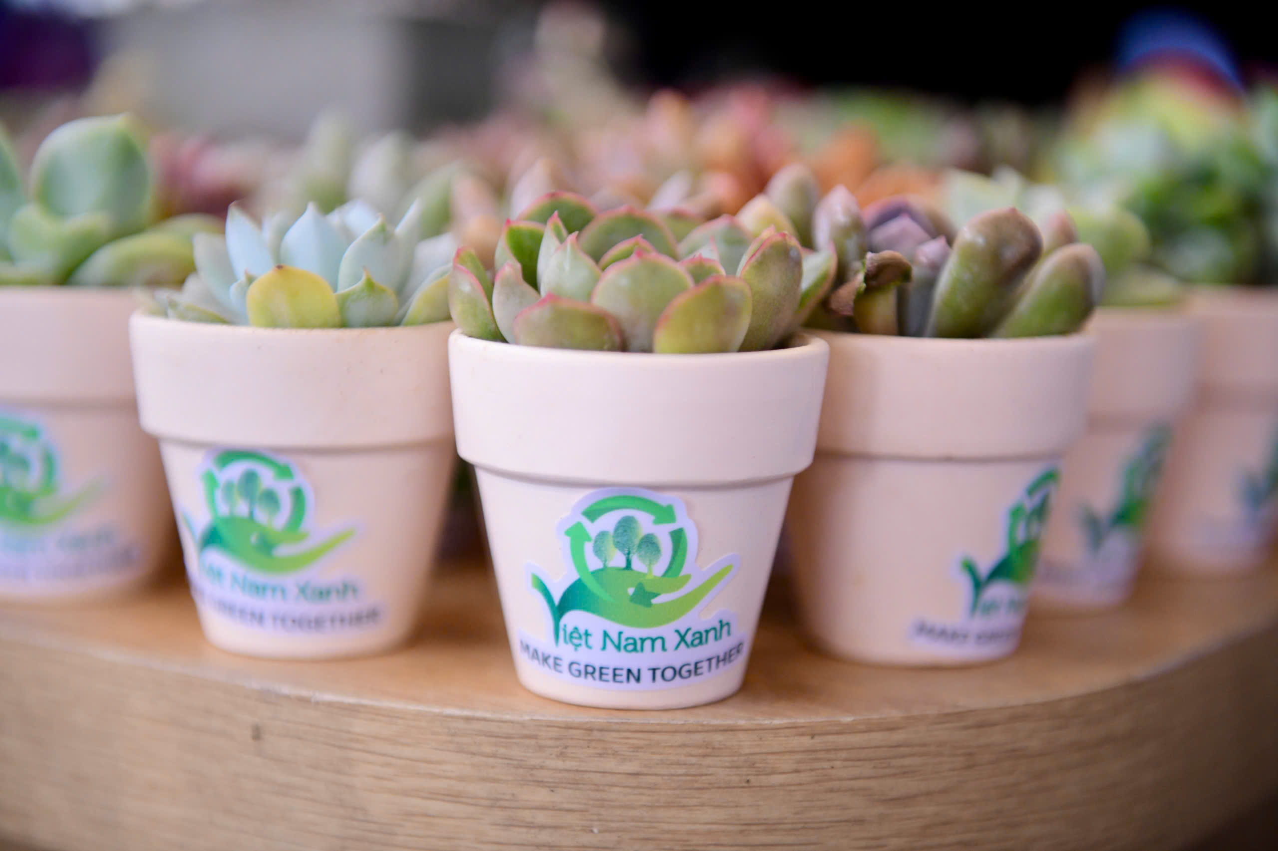 Ngày hội Việt Nam Xanh 2025 sôi động trước giờ G 4 Việt Nam Xanh - Ảnh 4.