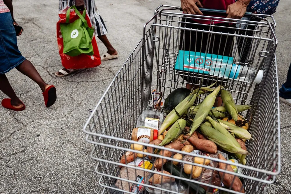 Những nguồn sáng trong cuộc khủng hoảng khí hậu đa chiều