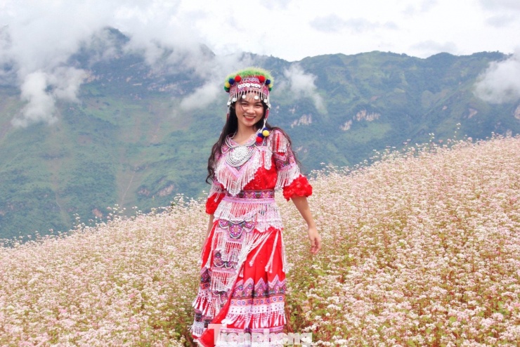 Đường kẹt cứng, khách sạn 'cháy' phòng mùa hoa tam giác mạch - 11