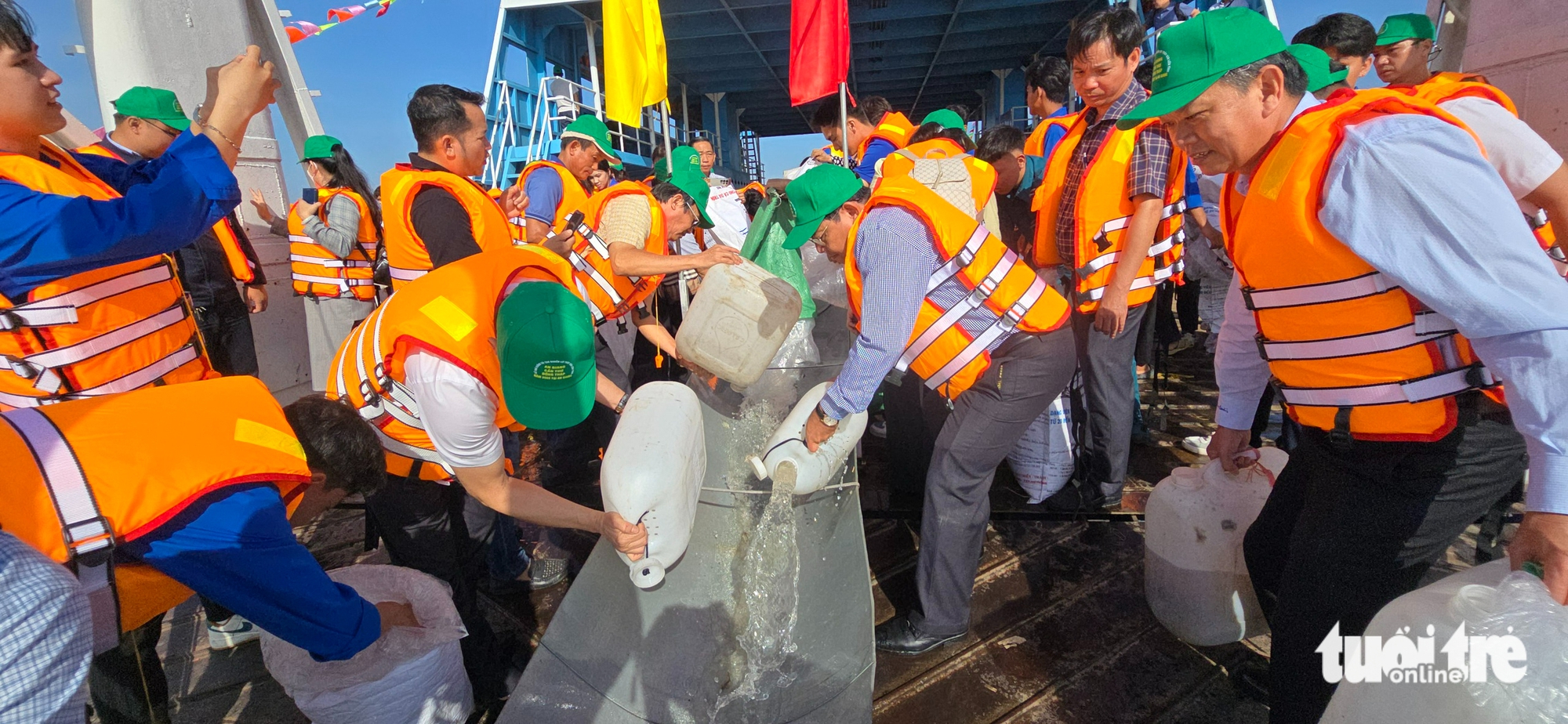 thả cá - Ảnh 4.