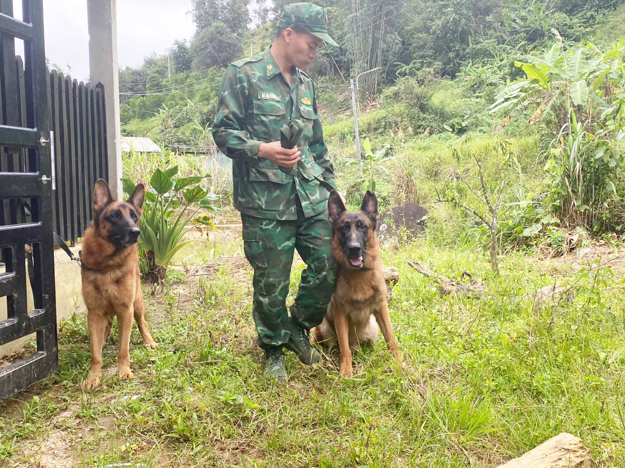 sạt lở núi - Ảnh 2.