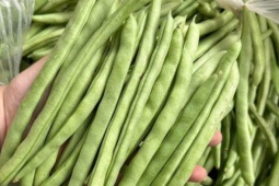 Loại rau vào mùa đông càng ngon, giúp ổn định đường huyết, thêm mẹo này khi chế biến ăn là ‘nghiền”