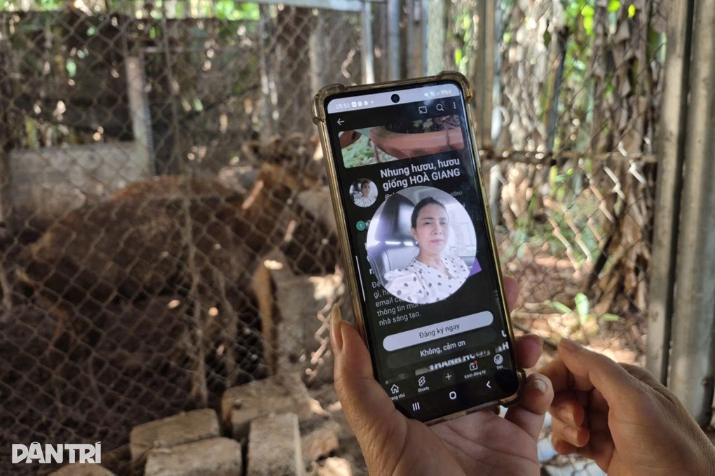 Nữ giáo viên kiếm nửa tỷ đồng mỗi năm từ nghề tay trái - 3