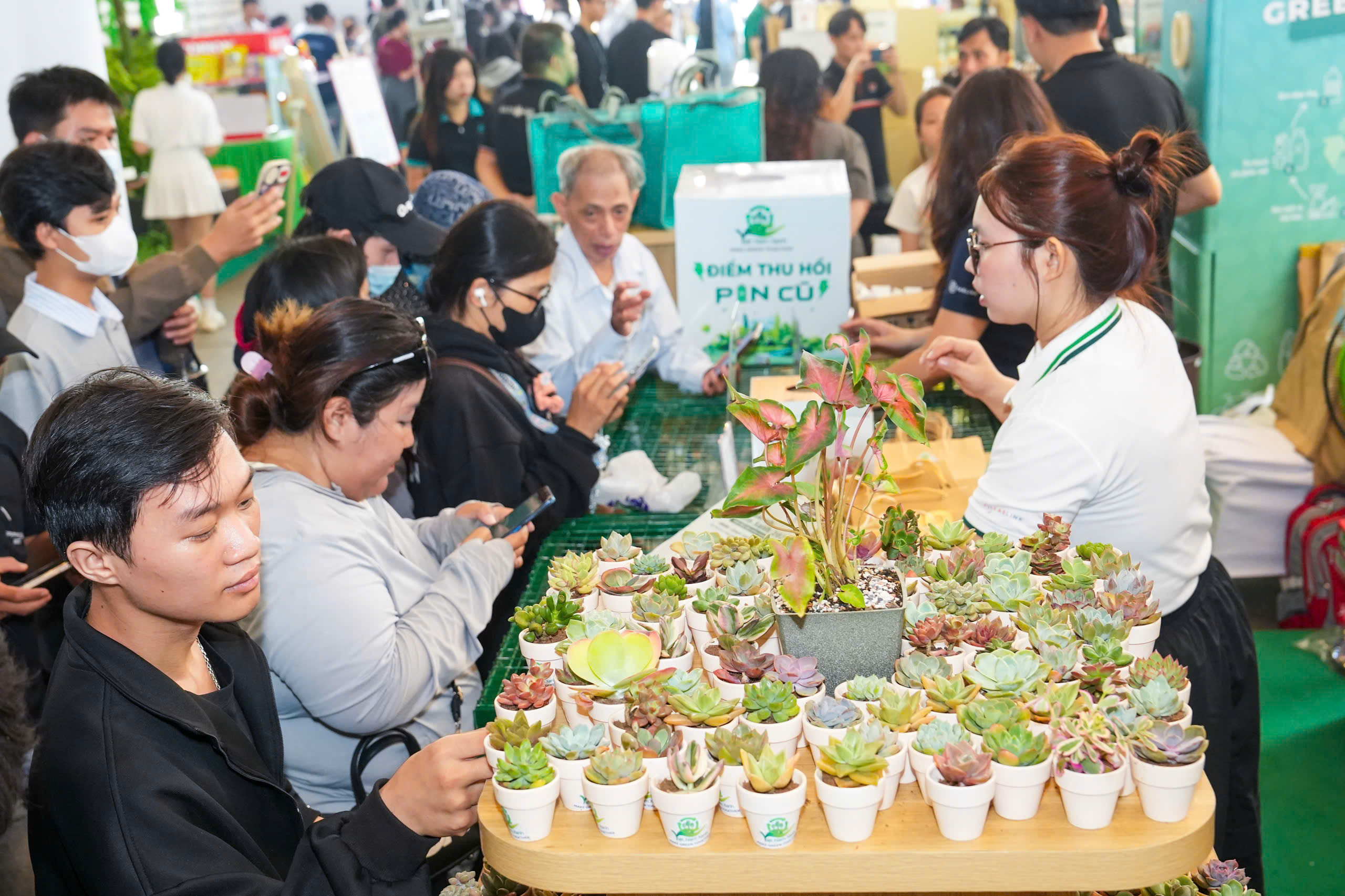 Hàng chục ngàn lượt khách ‘phủ xanh’ ngày hội Việt Nam Xanh - Ảnh 8.