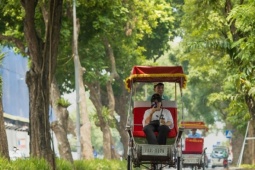 Lý do mùa thu Hà Nội không có thương hiệu như Nhật Bản, Hàn Quốc