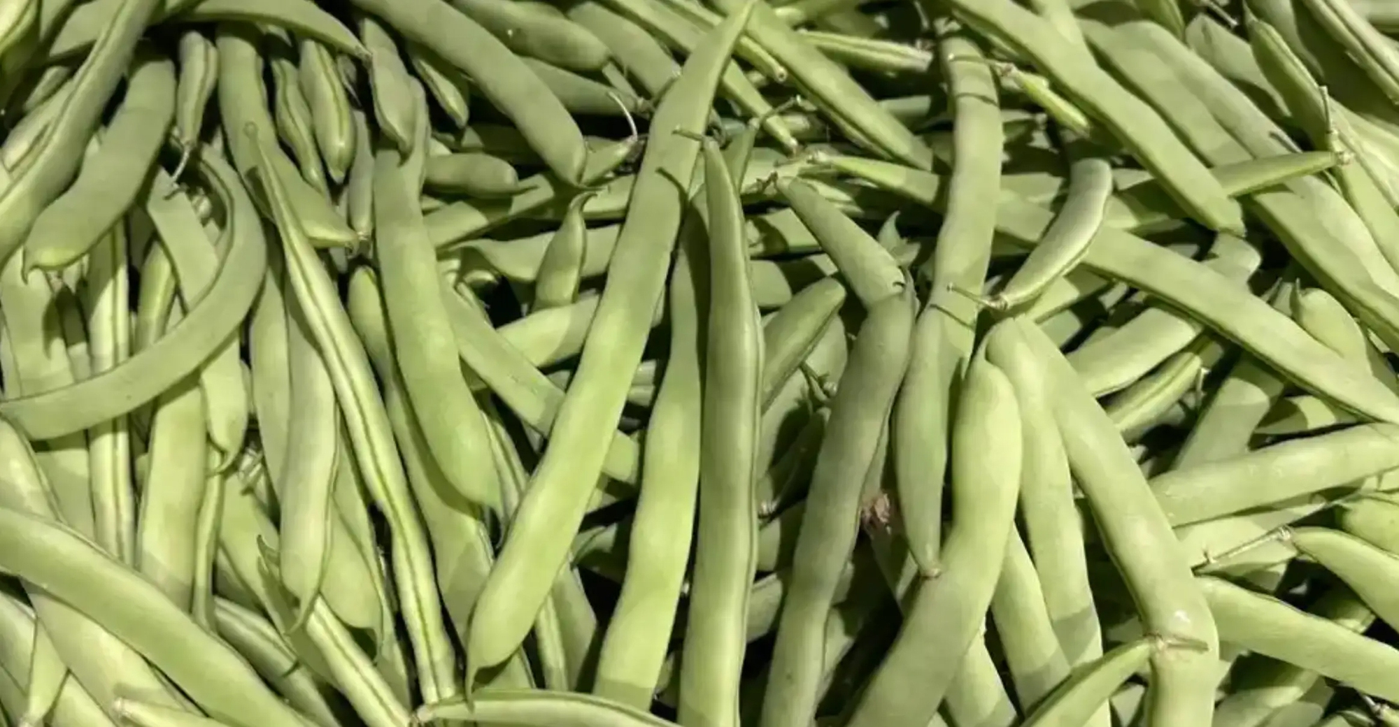 Sai lầm ai cũng mắc: Không phải thức ăn thừa mà 5 loại thực phẩm này mới là 