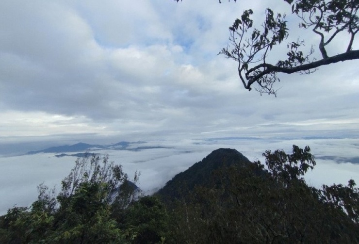 Khám phá gần 2km đường rừng mạo hiểm chinh phục đỉnh Pù Luông ở Thanh Hóa - 5