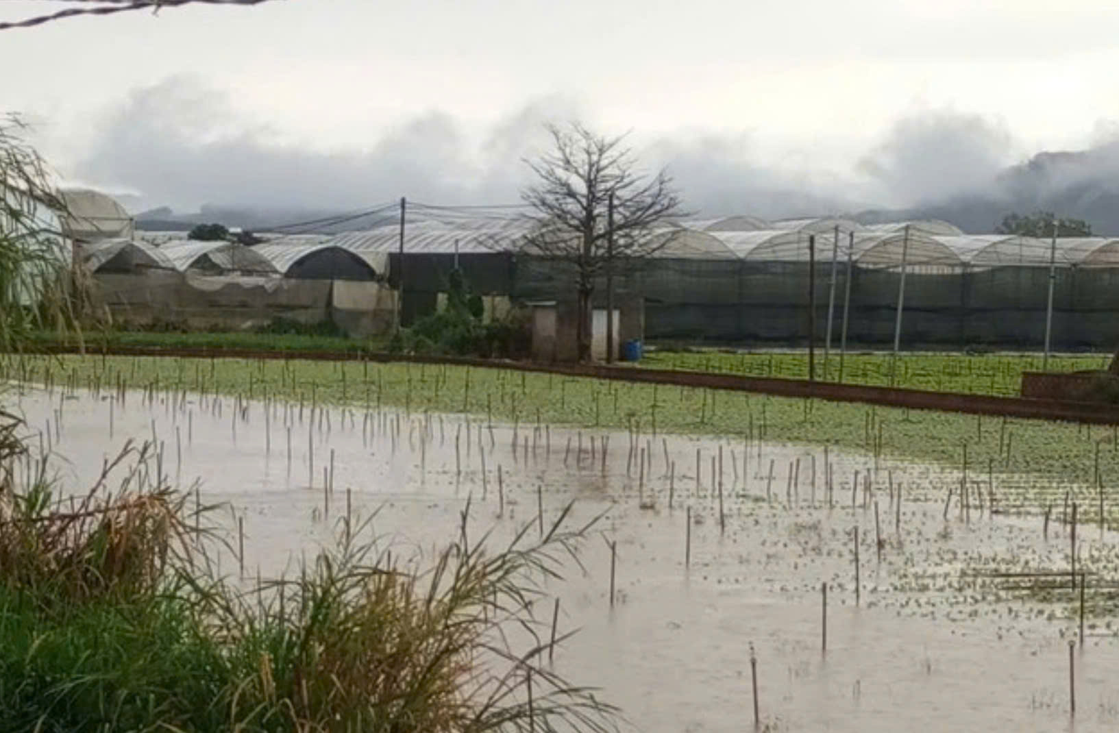 Thủy điện Đa Nhim tăng lưu lượng xả lũ, vùng hạ lưu bị ngập - Ảnh 2.