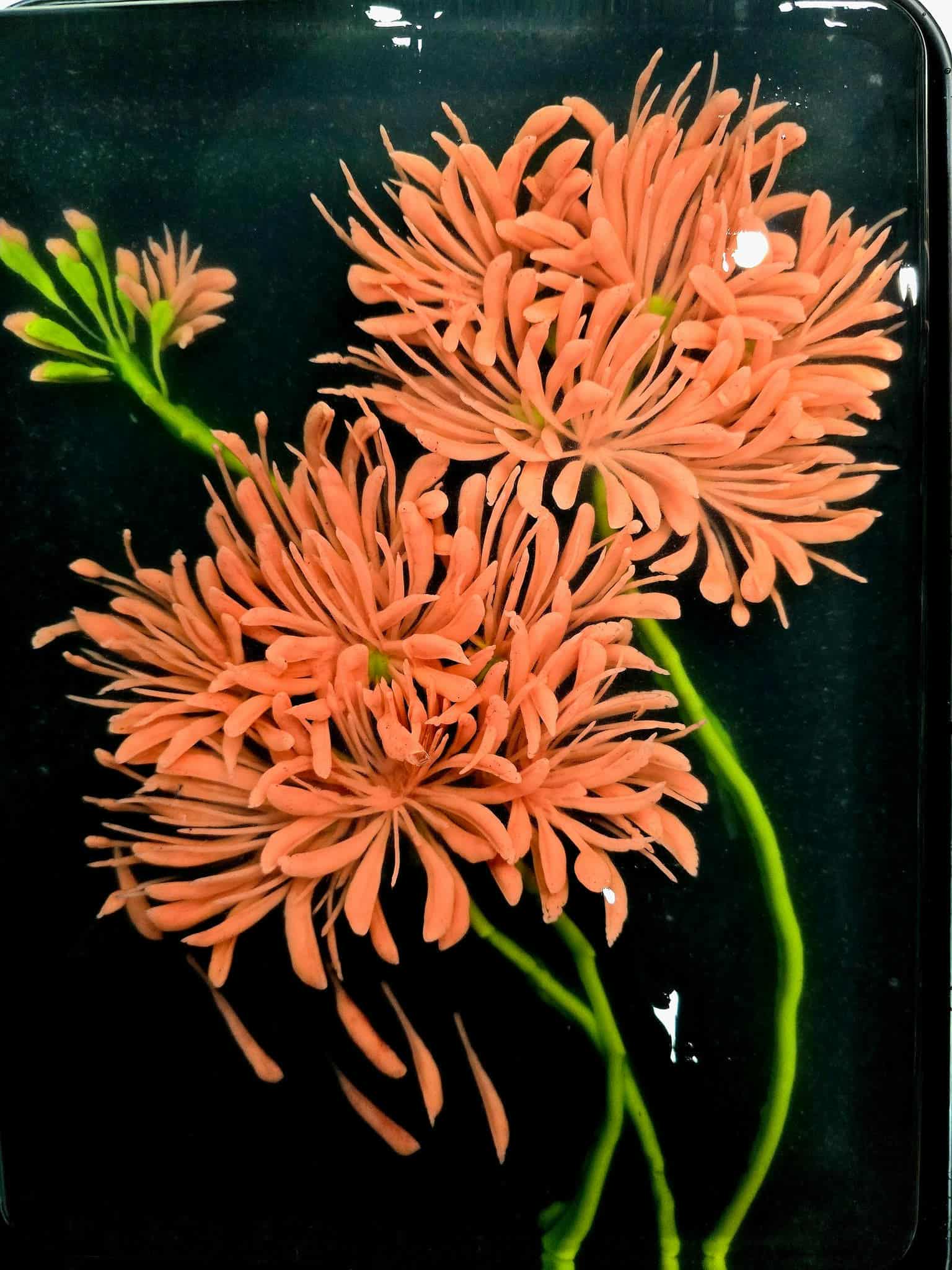 9X độc thân mà quá “nguy hiểm”: Đã đẹp trai còn nấu ăn ngon, làm bánh đẹp, chị em nào chưa người yêu rước về ngay! - 15