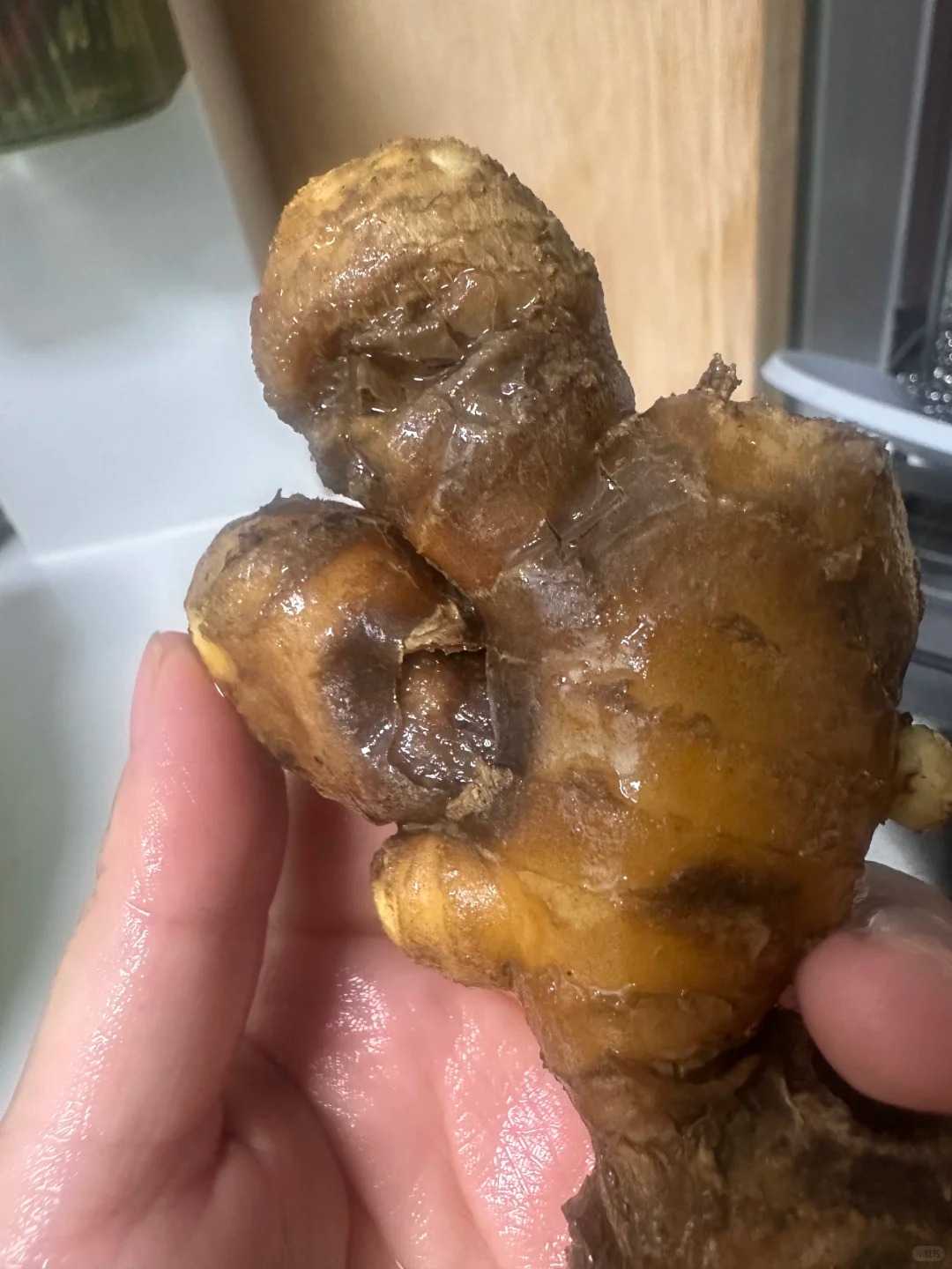 Nhiều chị em trồng gừng bonsai nhưng chẳng được mấy ngày đã thối um cả nhà, đây là lý do chí mạng - Ảnh 4.