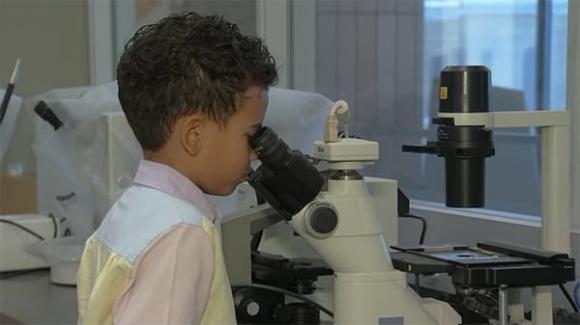 cau-be-iq-top-1-the-gioi-kha-nang-tiep-thu-phi-thuong-bat-dau-di-hoc-tu-nam-3-tuoi-9-tuoi-da-la-sinh-vien-nam-nhat (1).jpg 0 Cậu bé IQ top 1% thế giới, Aiden Wilkins, Thần đồng