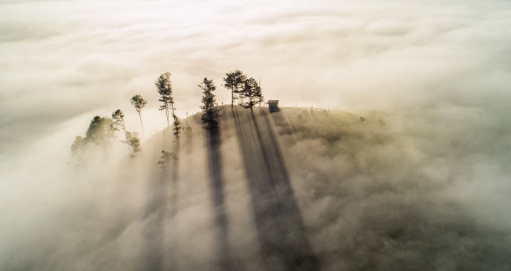 Vẻ đẹp "siêu thực" của thiên nhiên Đà Lạt trong khoảnh khắc bình minh ngày mới. Ảnh: Trần Quang Anh.