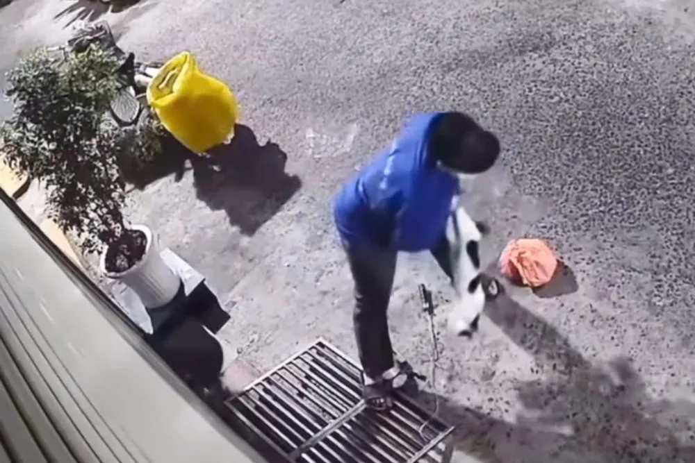 Hình ảnh ghi cảnh một người đàn ông đi xe đạp, đặt bẫy để bắt mèo rồi quay lại thu gom số con vật bị mắc bẫy. Ảnh cắt từ clip. z7230097251524_a6b233d6cbb8f2e5c86e4c7d95a33433.jpg