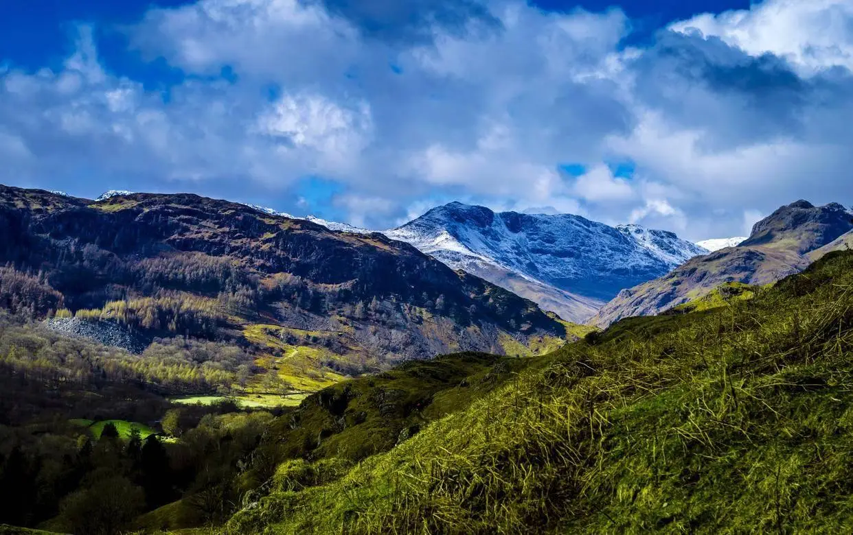 Dù giàu hay không, có 3 loại quà người khôn ngoan nhất định không nhận - 2