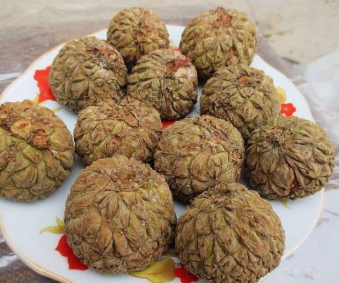 Loại quả phải dùng búa để ăn, xưa đầy không ai nhặt nay chưa rụng đã có người amp;#34;sănamp;#34;, hàng không có mà bán - 2