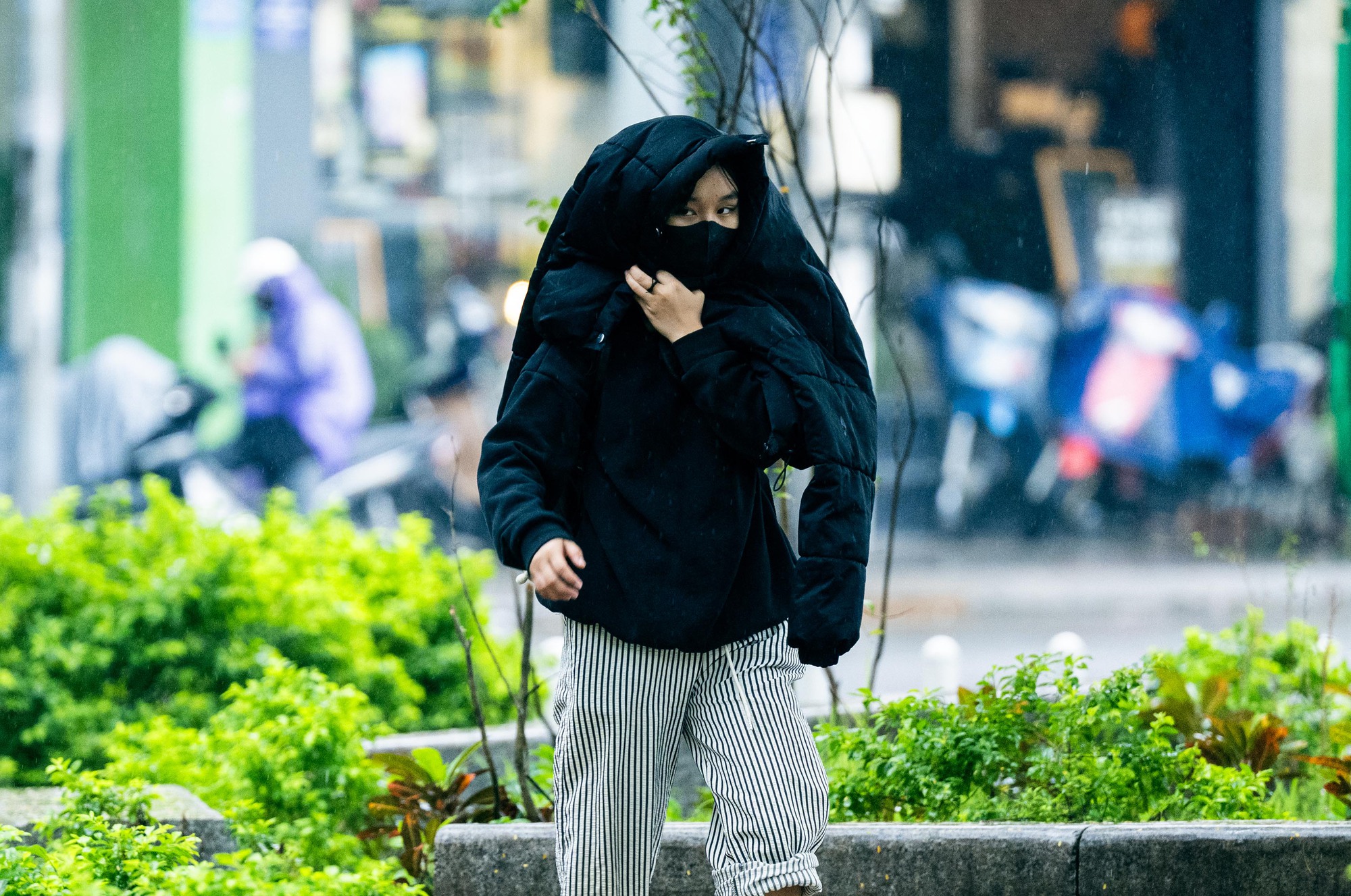 Hà Nội thật khác trong ngày rét nhất từ đầu Đông
- Ảnh 13.