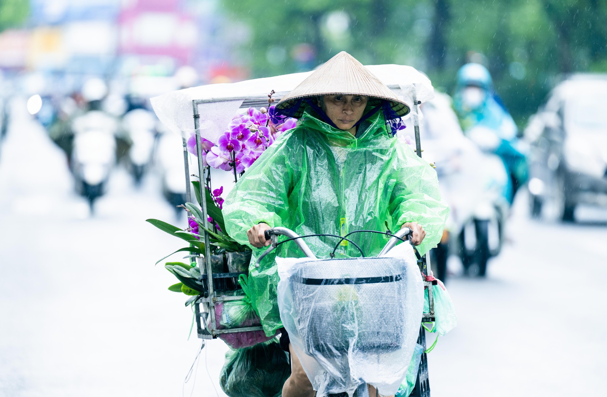 Hà Nội thật khác trong ngày rét nhất từ đầu Đông
- Ảnh 14.