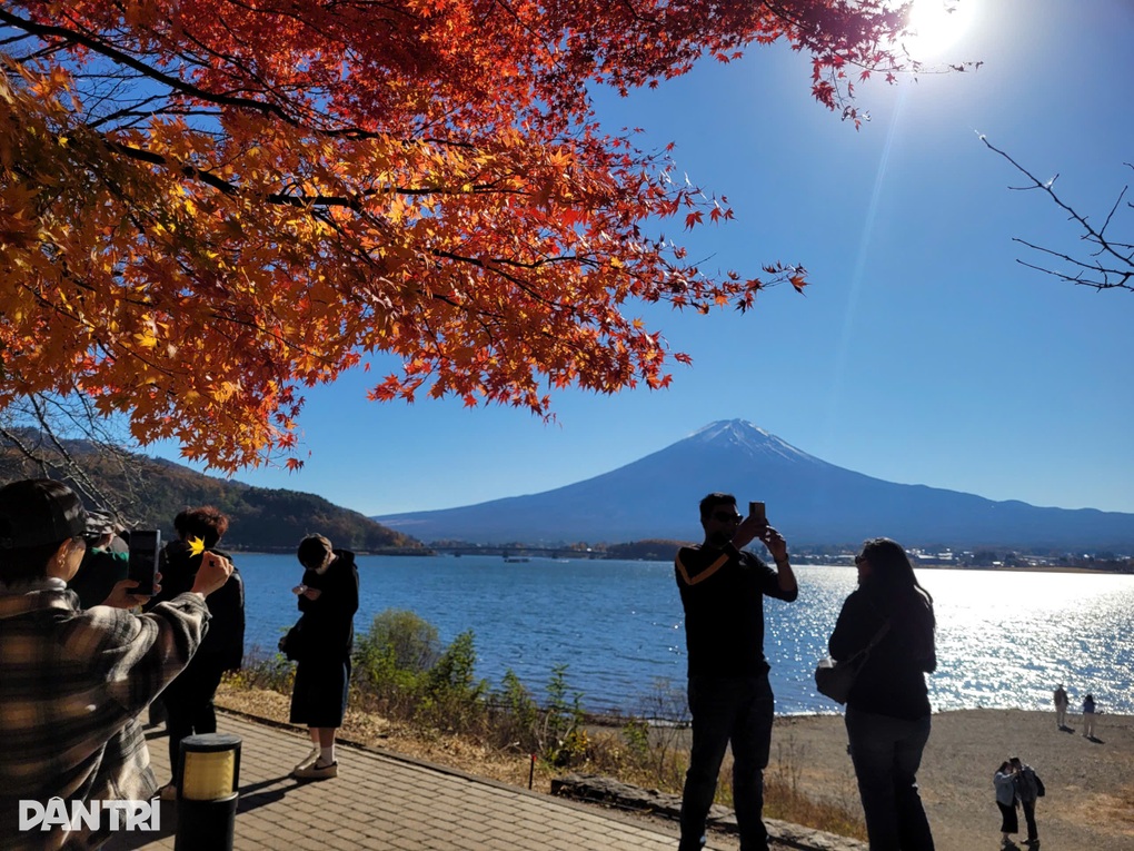 Con đường lá đỏ ở Nhật Bản hút khách săn ảnh núi Phú Sĩ soi bóng - 2