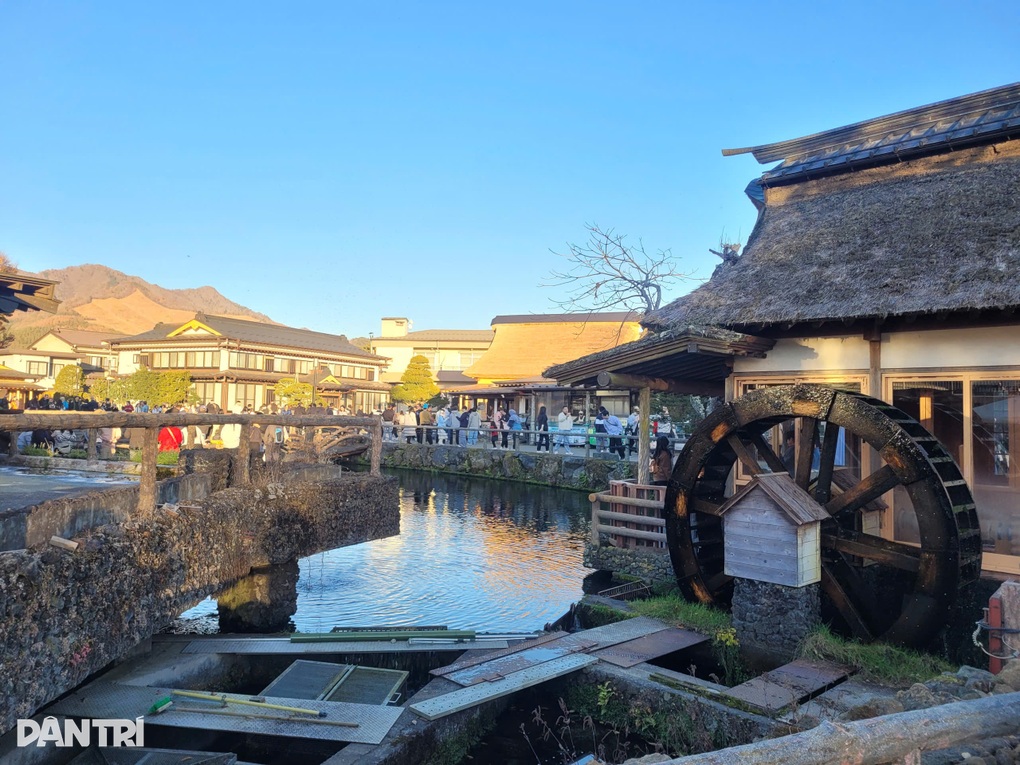 Con đường lá đỏ ở Nhật Bản hút khách săn ảnh núi Phú Sĩ soi bóng - 4