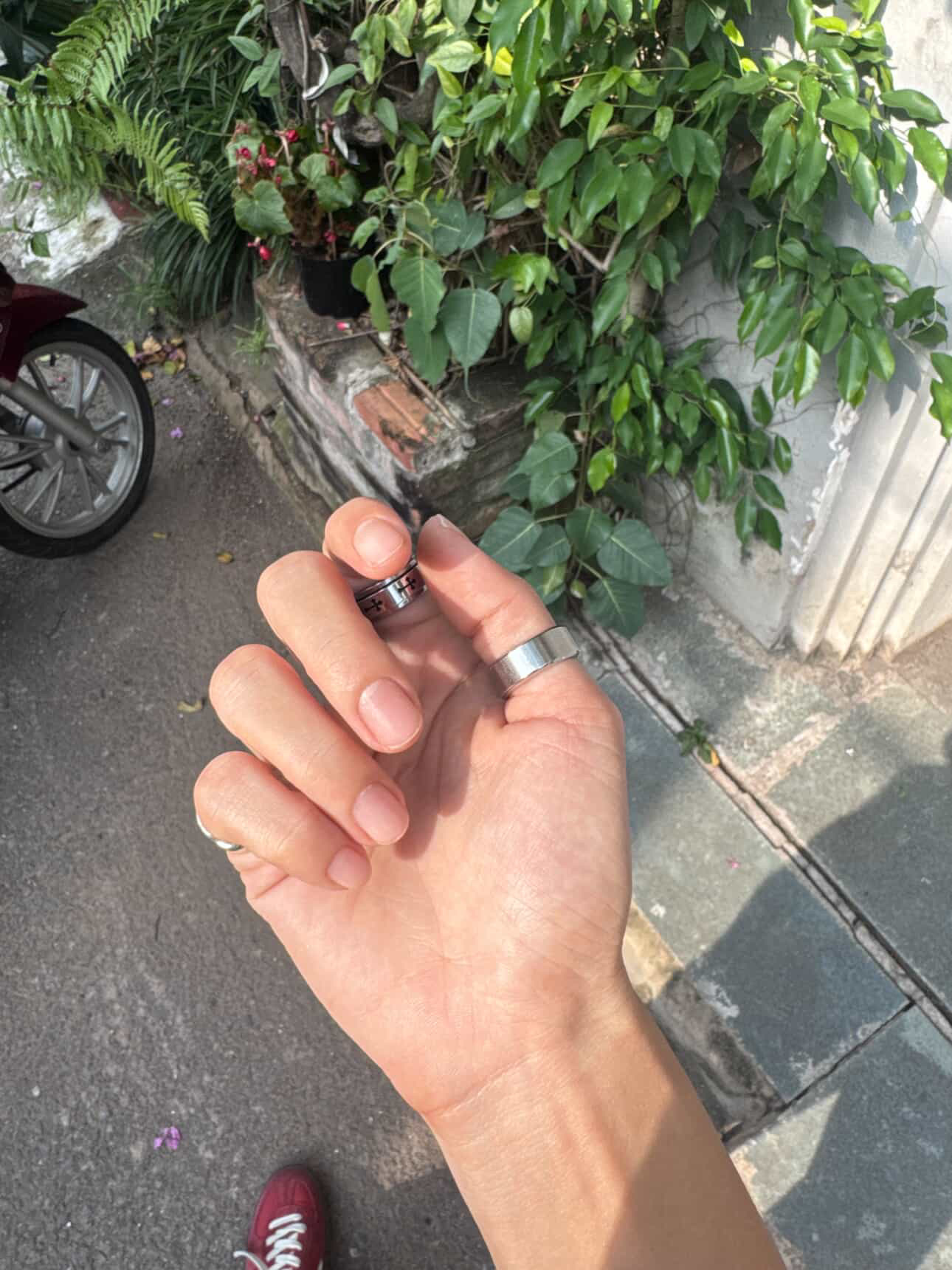 Chuyện gì đang xảy ra giữa NSƯT Kim Tuyến và Chị Đẹp Đồng Ánh Quỳnh?- Ảnh 2.