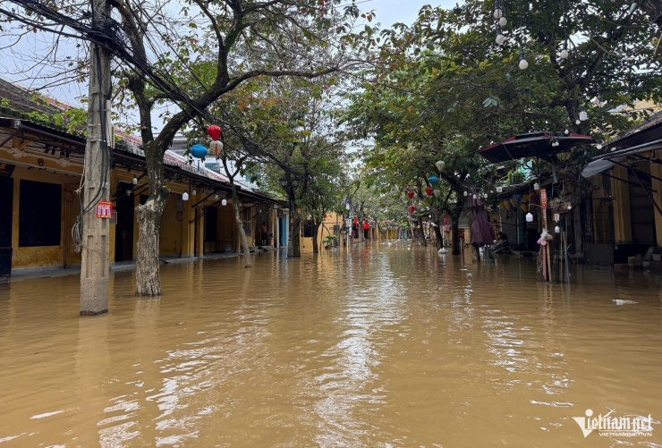 Hội An lại ngập sâu: Dân hối hả chạy lũ, du khách tò mò lội nước check-in - 4