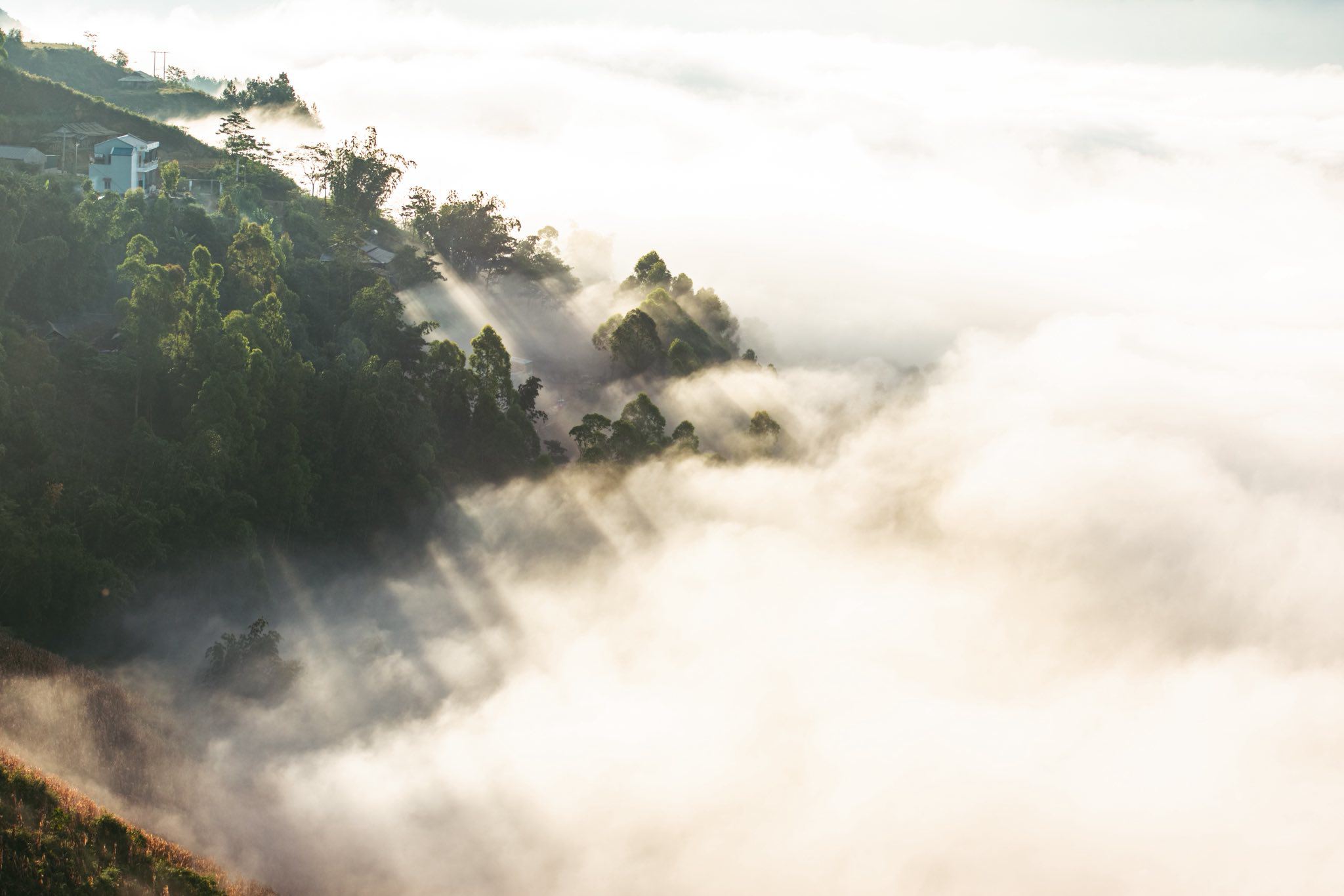 Ngắm biển mây giữa núi non Tây Bắc - 6