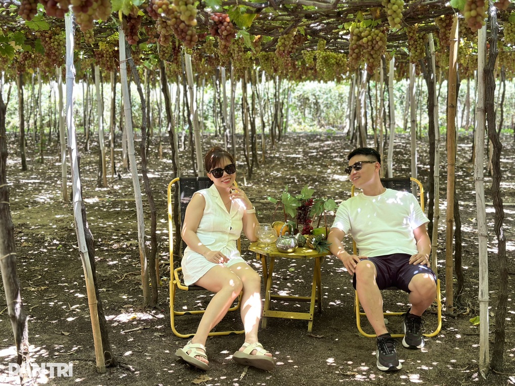 Làm giàu từ du lịch nông nghiệp tại Khánh Hoà - 2