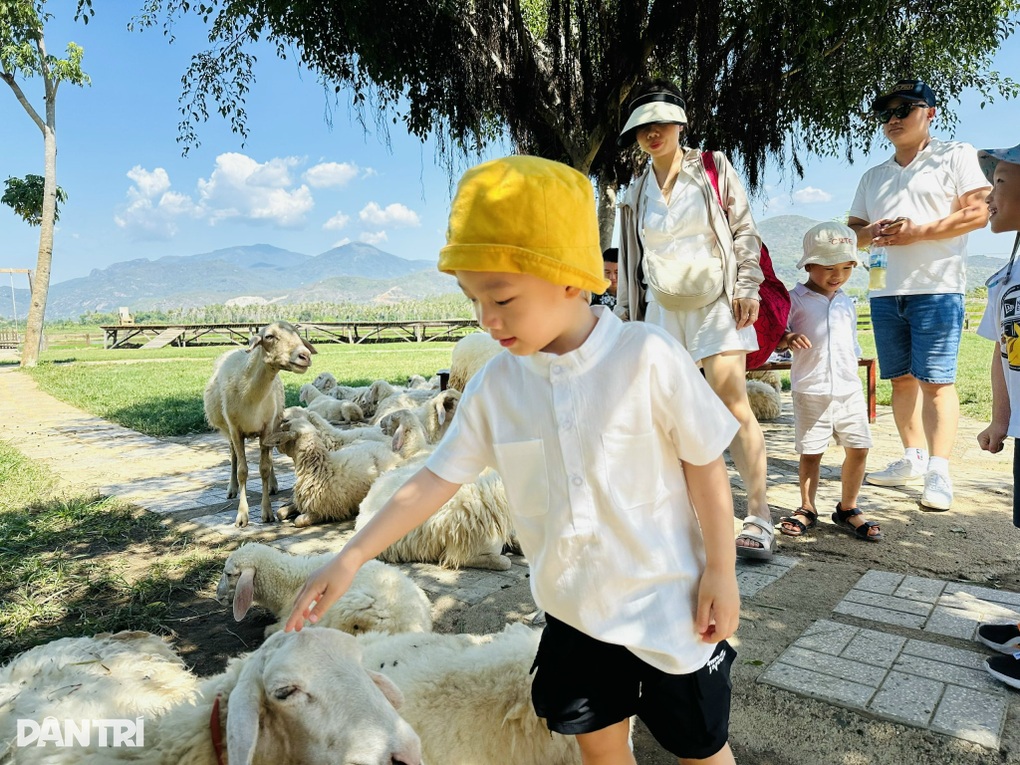 Làm giàu từ du lịch nông nghiệp tại Khánh Hoà - 3