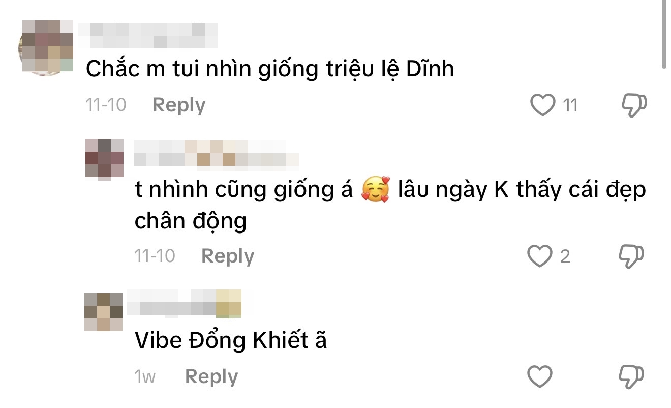 1763557309 556 Viet Nam co 1 my nhan giong hang loat minh