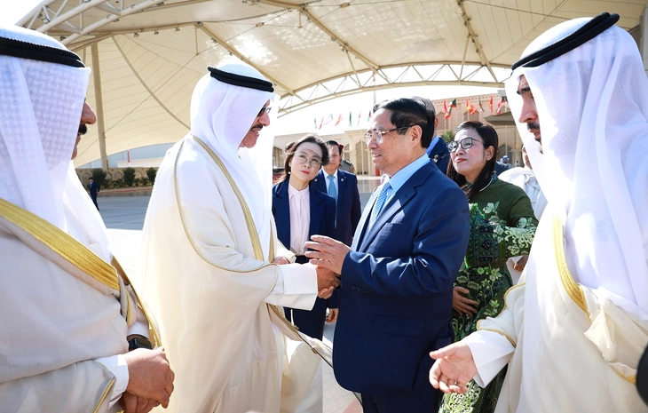 Việt Nam và Algeria nâng cấp quan hệ lên Đối tác chiến lược - Ảnh 4.