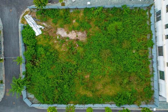 Tập đoàn FLC , ông Trịnh Văn Quyết