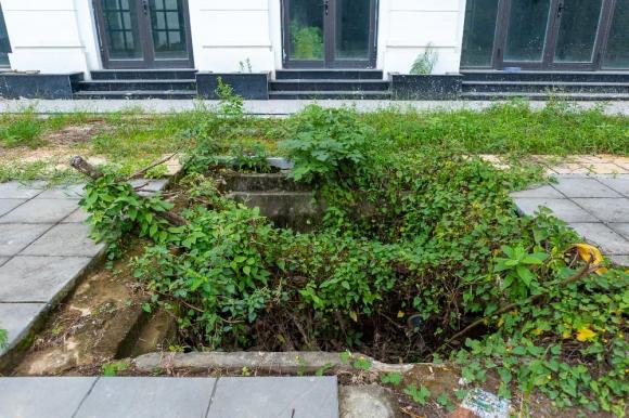 Tập đoàn FLC , ông Trịnh Văn Quyết