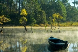 Cuộc săn ánh sáng ở Đà Lạt chinh phục tạp chí du lịch nổi tiếng thế giới